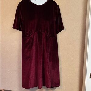 ASOS Rich Burgundy Velvet Mini Dress